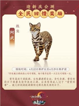 天龙八部手机游戏私服